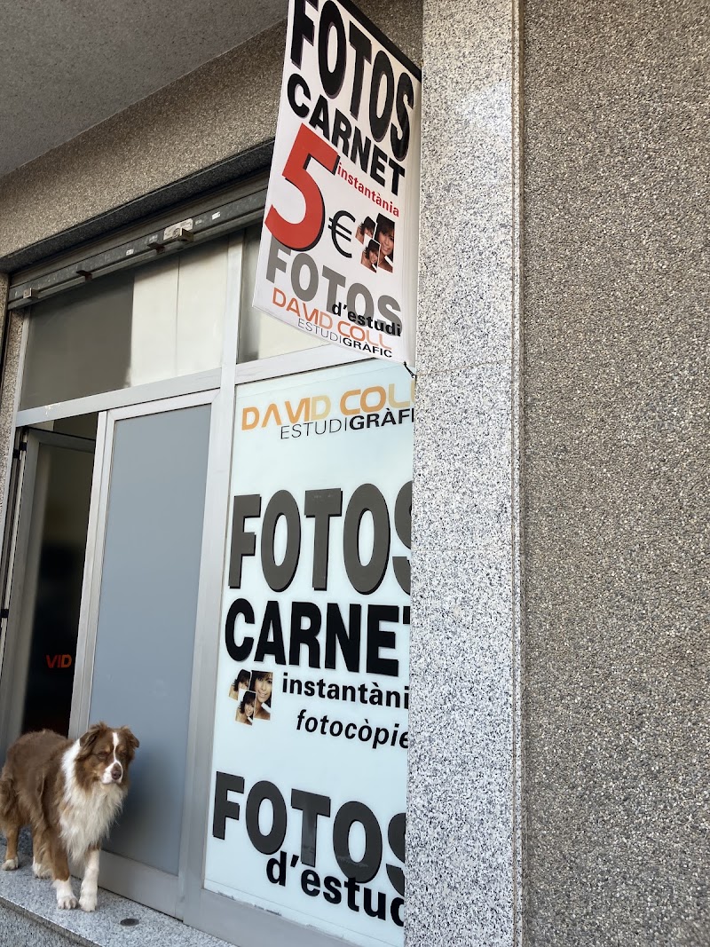 Estudi Gràfic David Coll i Fotos del DNI - PASAPORT, fotografía y vídeo en Girona